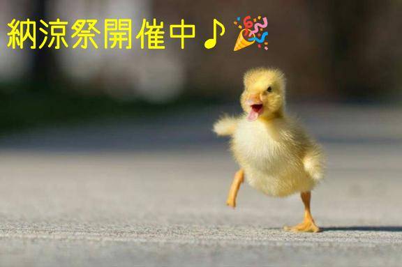 おはようございます?