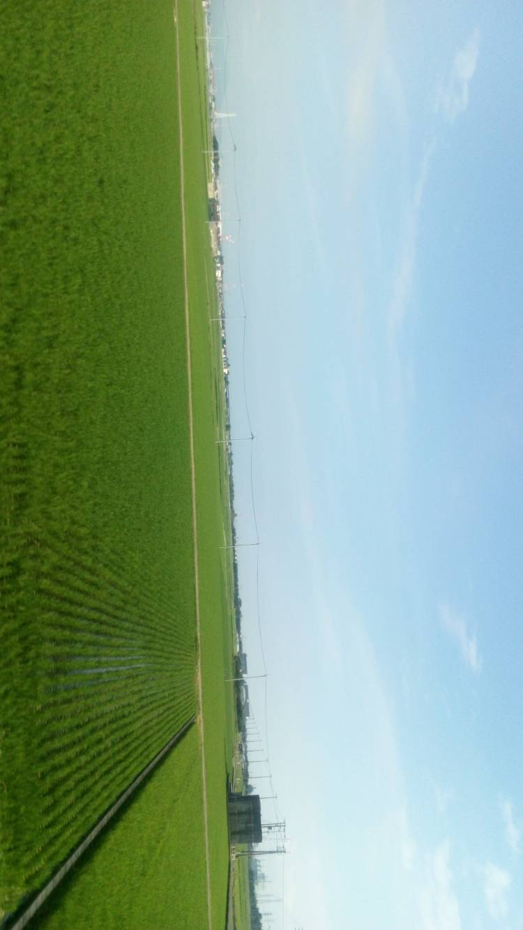 整いました?