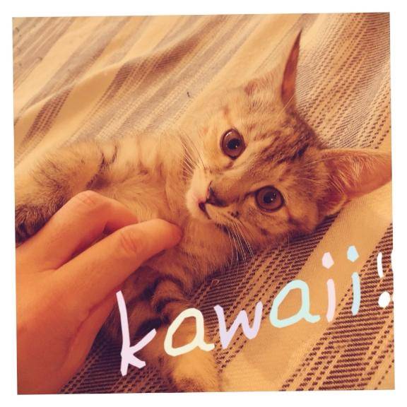 へへへっ\(//∇//)\