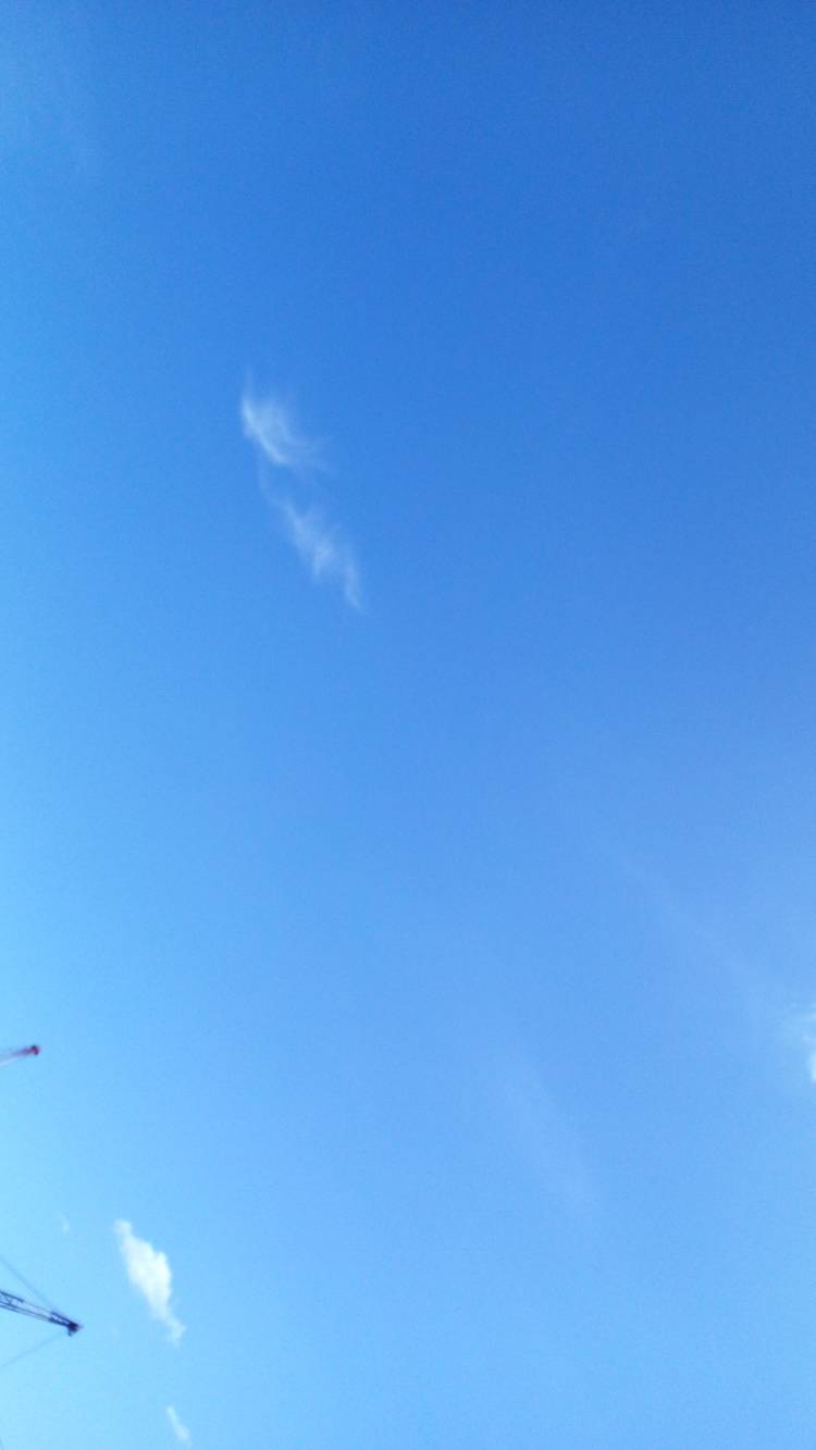 おはようございます?