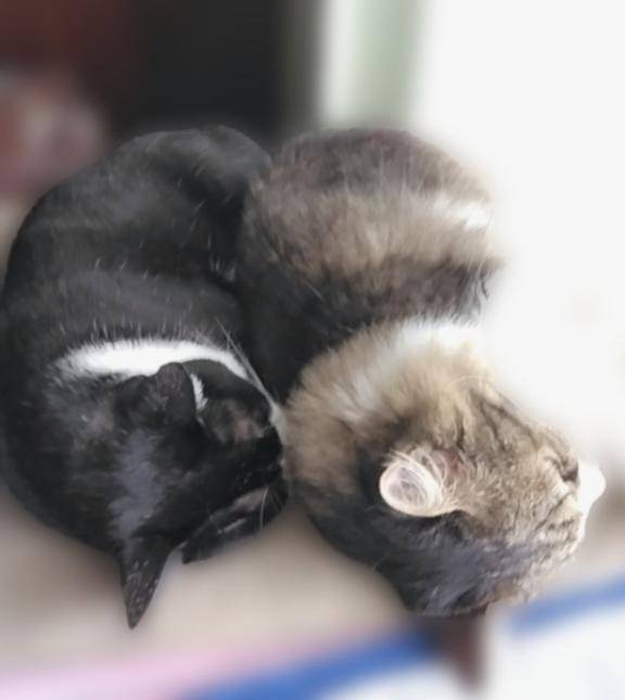 おはようございます