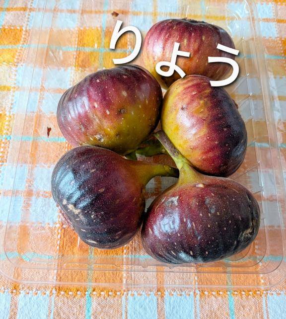 好きです