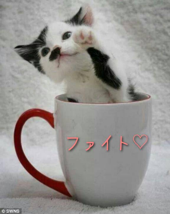 連休おわっちゃったね