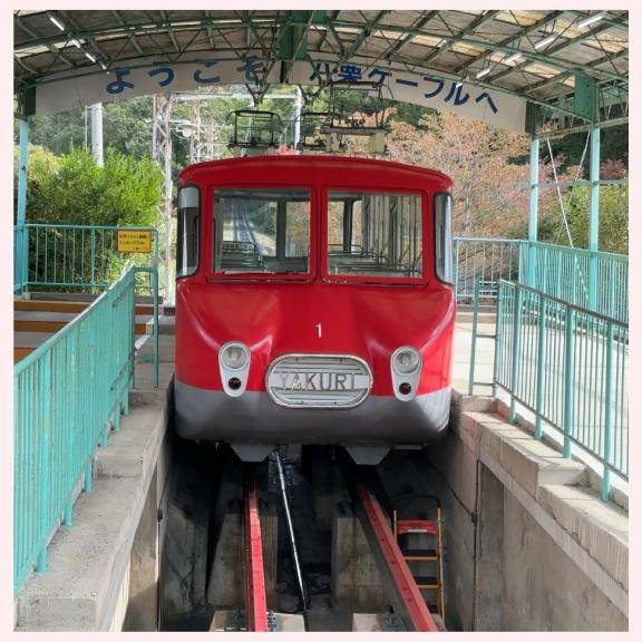 休日の過ごし方?