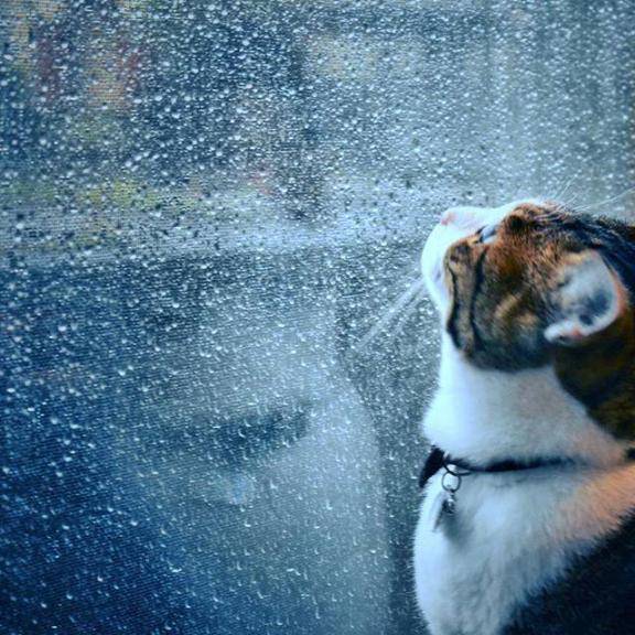 今の天気情報は。。