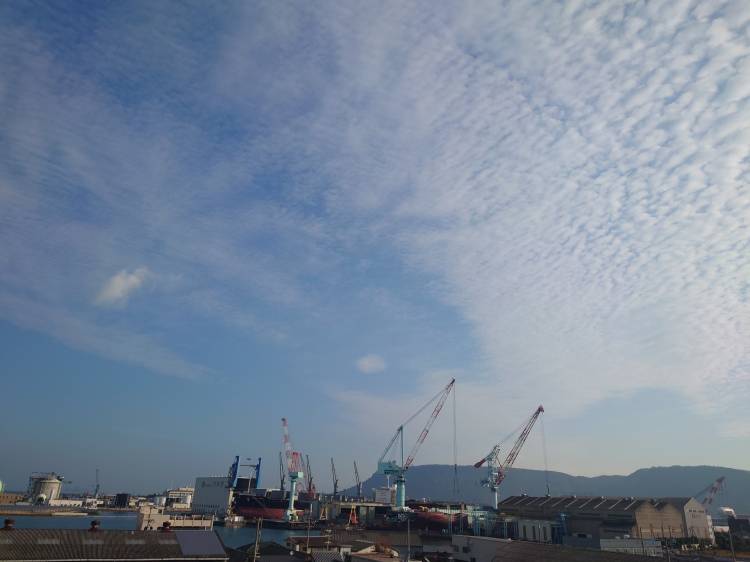 出勤しました(^^)/