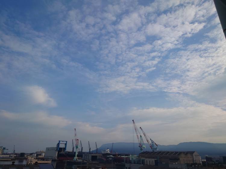 出勤しました(^^)/