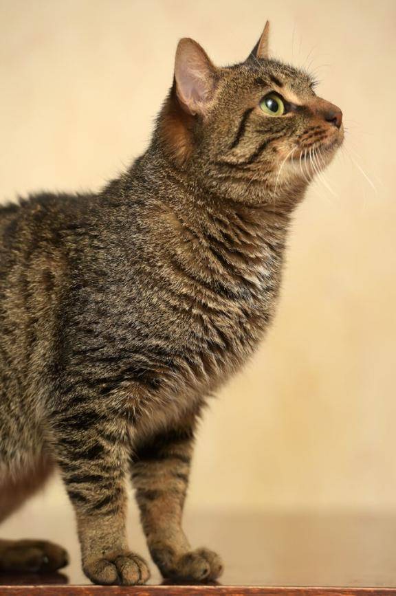 [お題]from:怖いんだけどさん