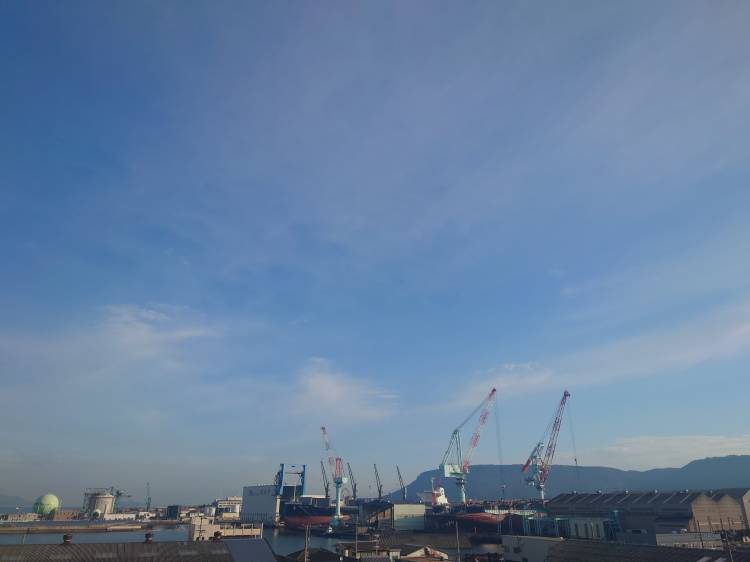 出勤しました(^^)/