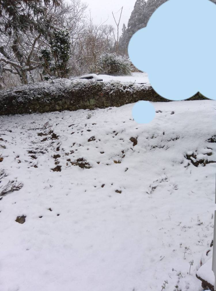 まり☆（ラ・プラージュ）