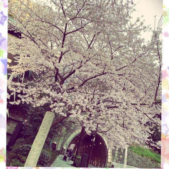 どこにしよかな?