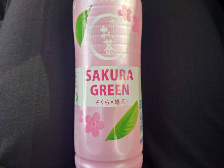 春の気配(*´∀｀)