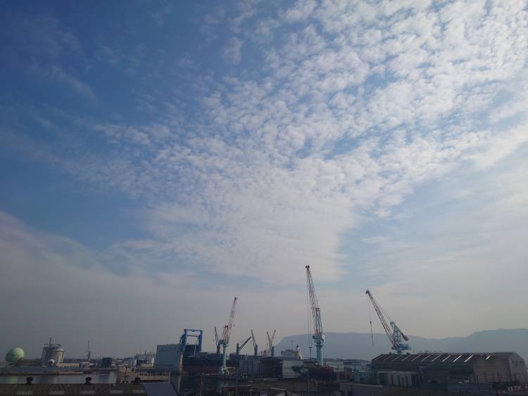 出勤しました(^^)/