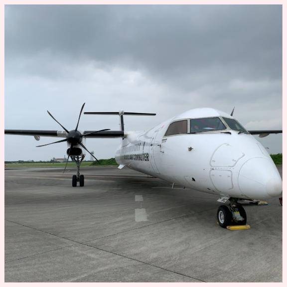 こんなところに共通点が?