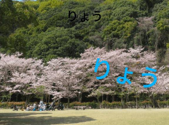 いつもの事やけど