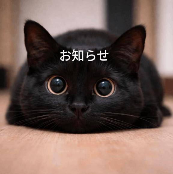 (???；?∀?；?)