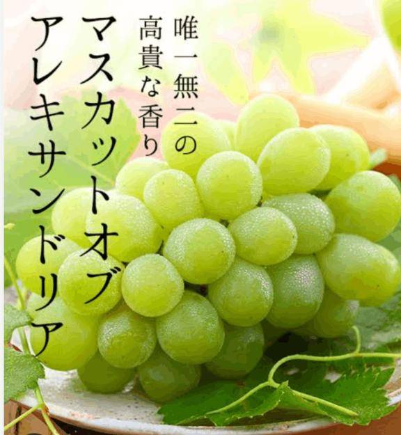 ニュースで