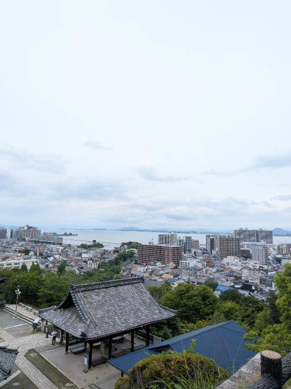 歴史