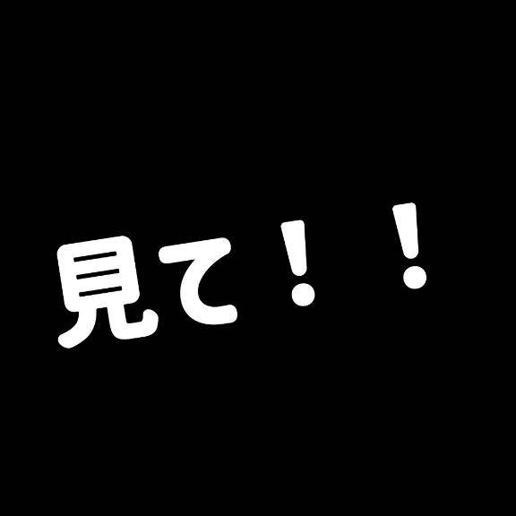 見て！見て！