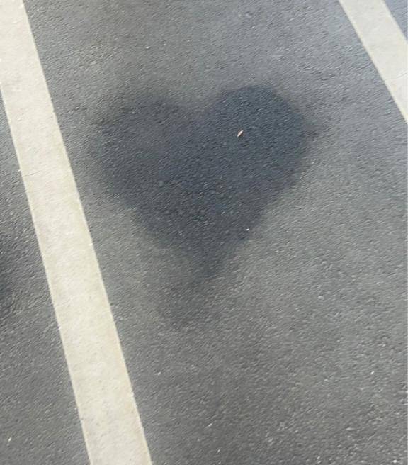みてみて、感想聞かせて?