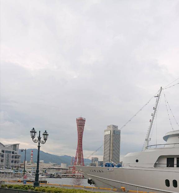 せっかくやし
