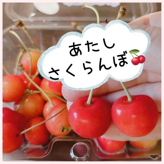 あなたとわたしさくらんぼ?