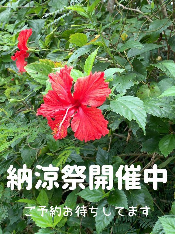 夏だ！祭りだ！納涼祭