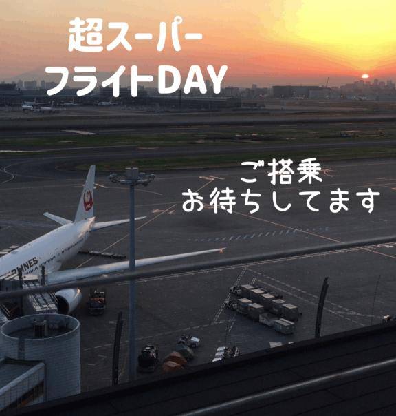 夜のフライトに向けてエネルギーチャージ