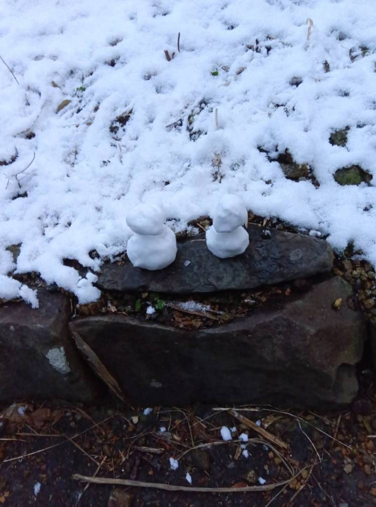 気分だけでも(*´艸｀*)