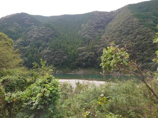 お盆は駄目( ´∀｀)
