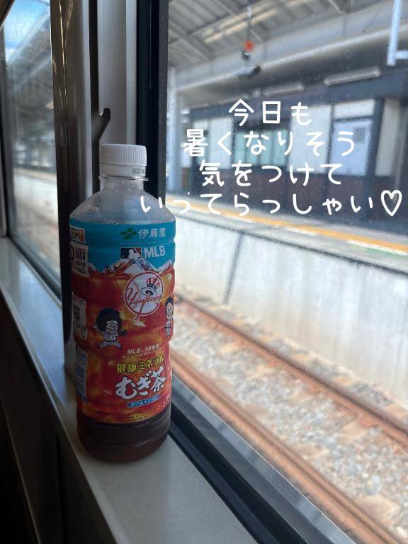 瀬戸の花嫁とドナドナが同じ世界線に聞こえる朝