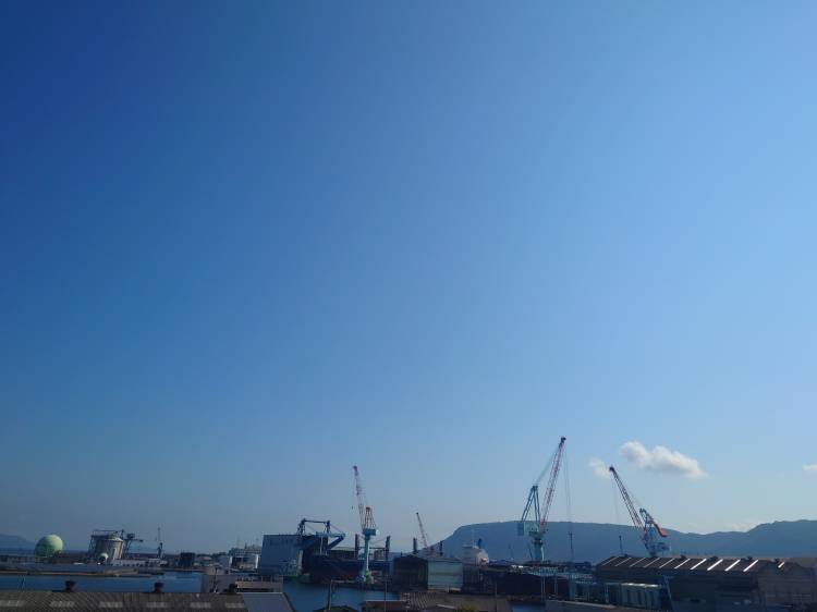 出勤しました(^^)/