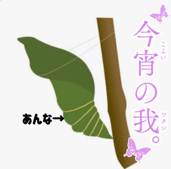 モスラ～や！モスラ～