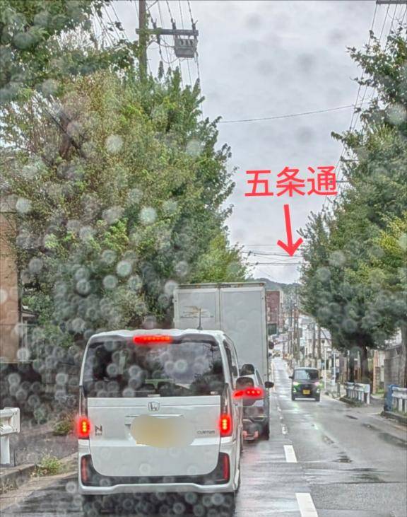 混み混み嫌い