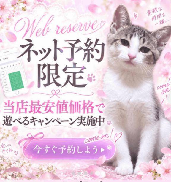 お待ちしてます（*´▽｀*）