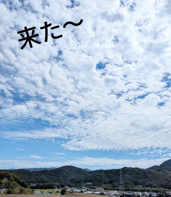青りんご?