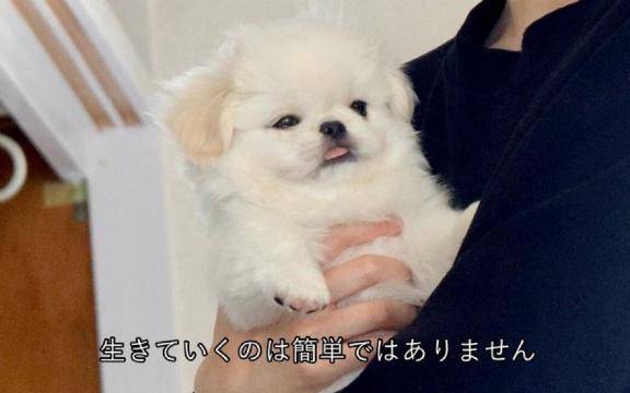 2月の出勤??