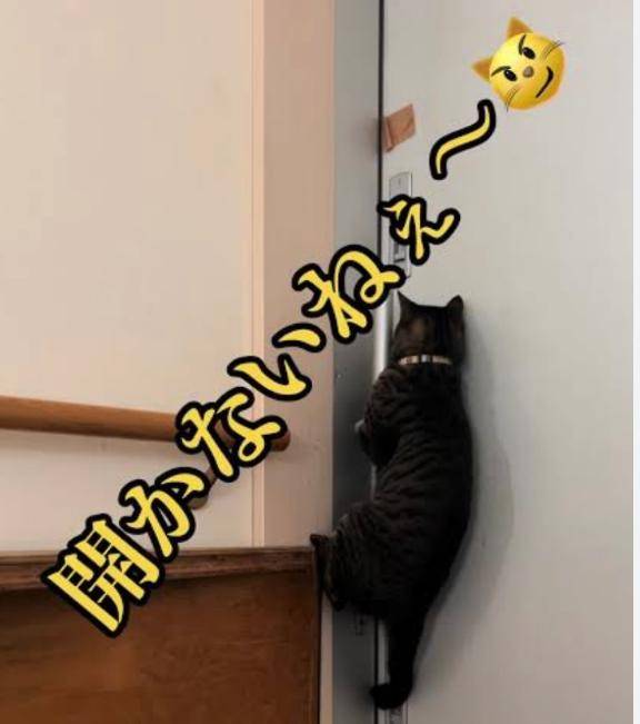開かないシリーズ２??