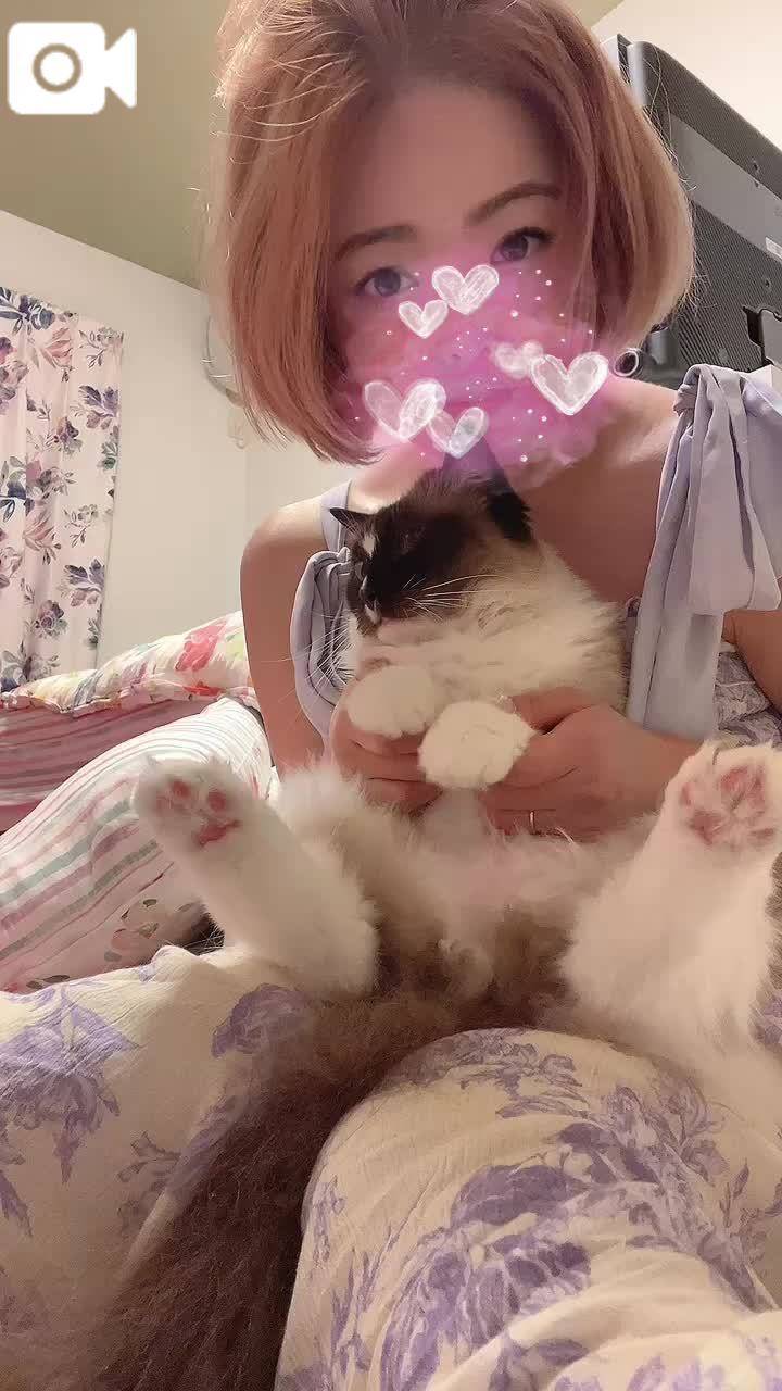 🐈明日で🐈