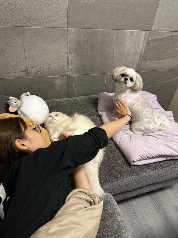 残り18:30から120分のみ🈳