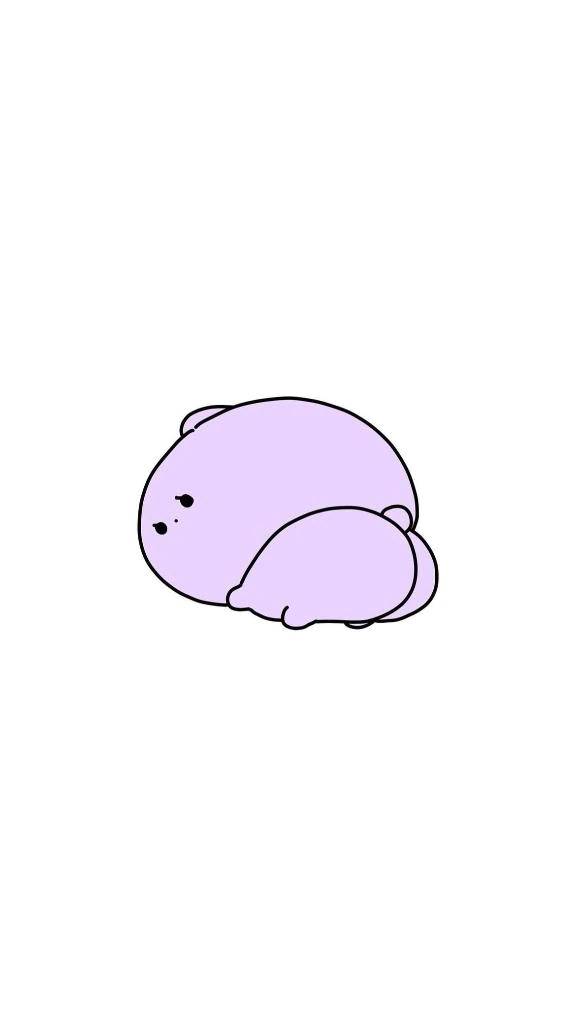 お休みします😢
