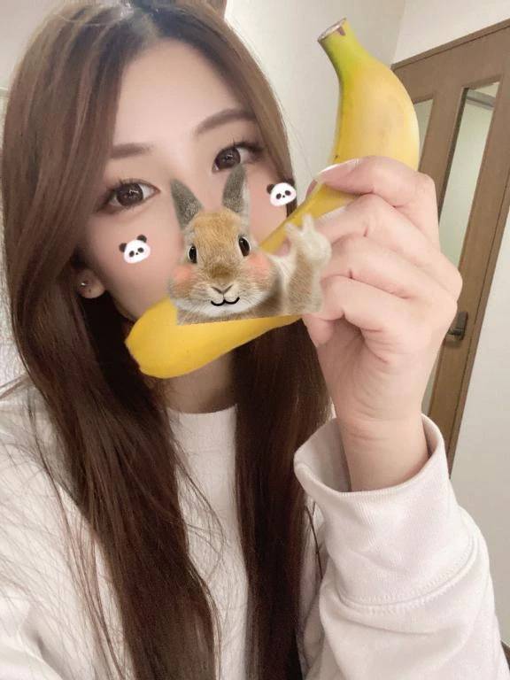 模索🐣