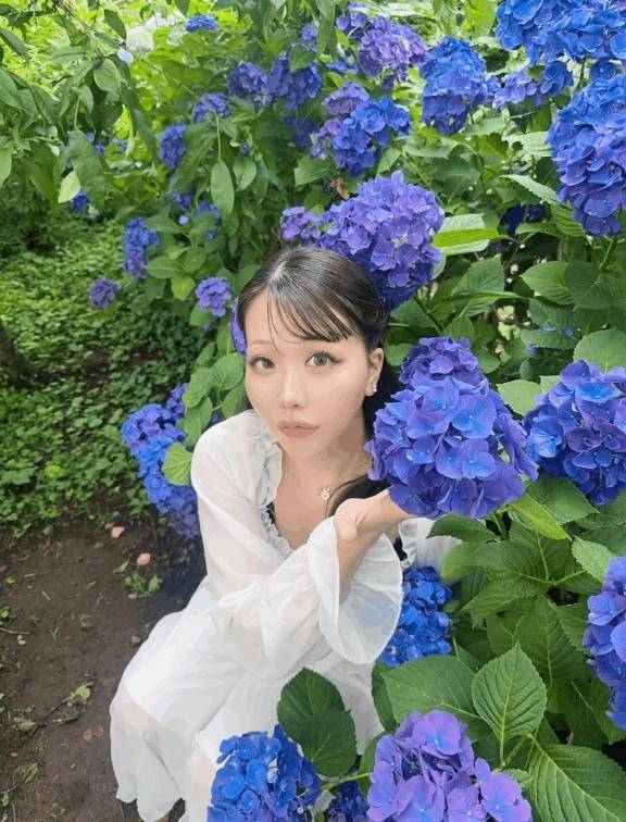 雨と紫陽花と左衛門りと