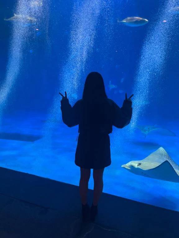 ✨退勤しました✨