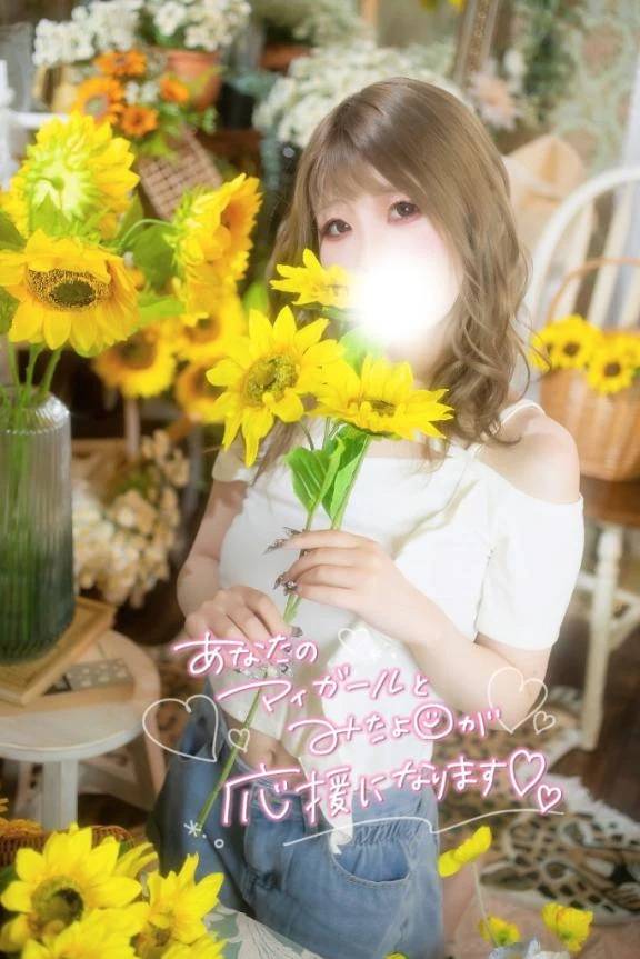 今年の夏🌻