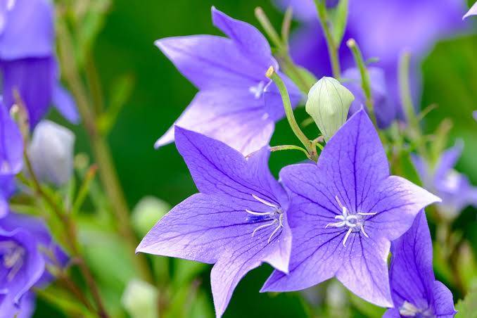 ありがとうございました♡