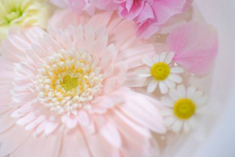 ゆい（唯）（レモン家）