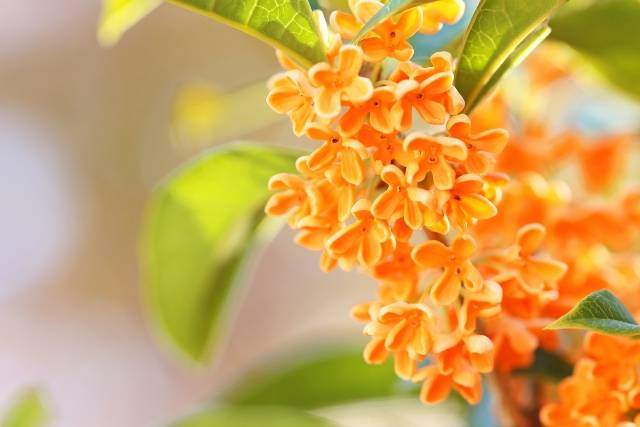 ありがとうございました♡