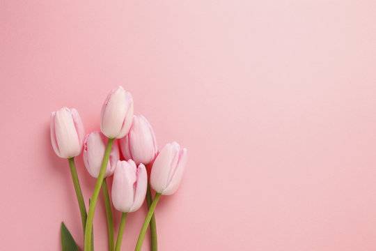 ゆい（唯）（レモン家）