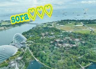 そら(蒼空)(レモン家)